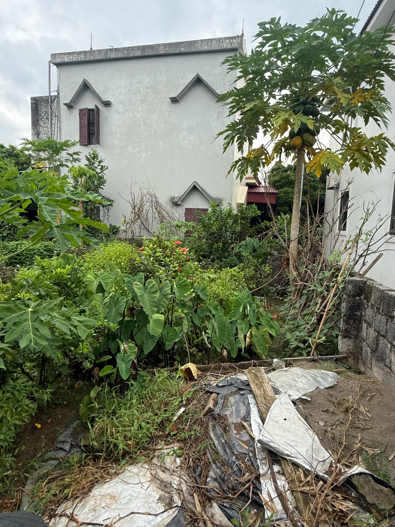 Nhà đất mặt phố Hưng Yên, Hưng Yên - 61.1m² giá 1.68 tỷ
