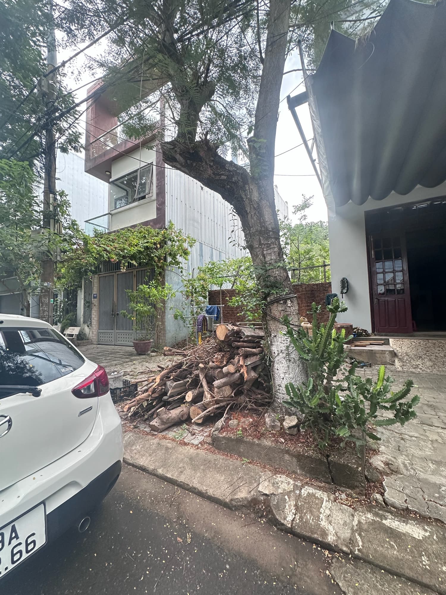 Nhà đất mặt phố, Sơn Trà, Đà Nẵng - 90m² giá 10.5 tỷ