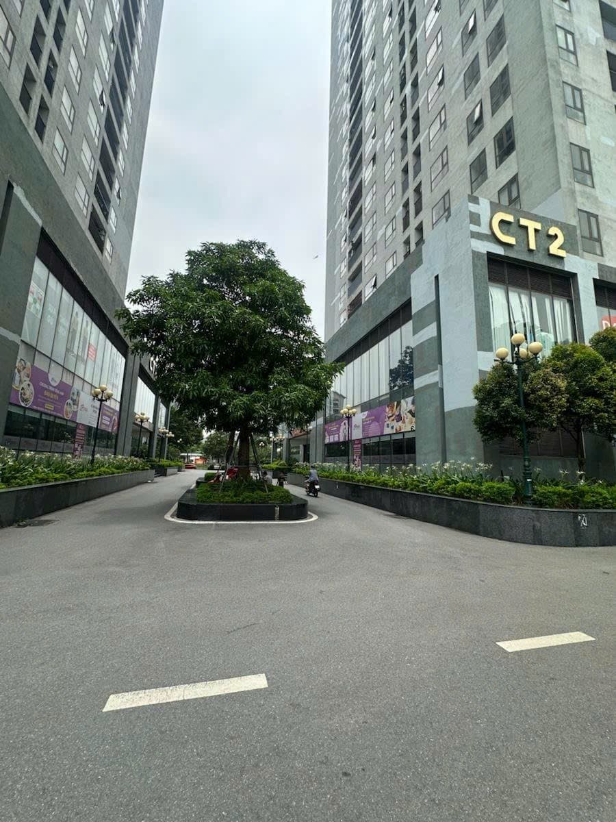 Căn hộ Chung cư X2, - Đại Kim - 95m² giá 7.03 tỷ