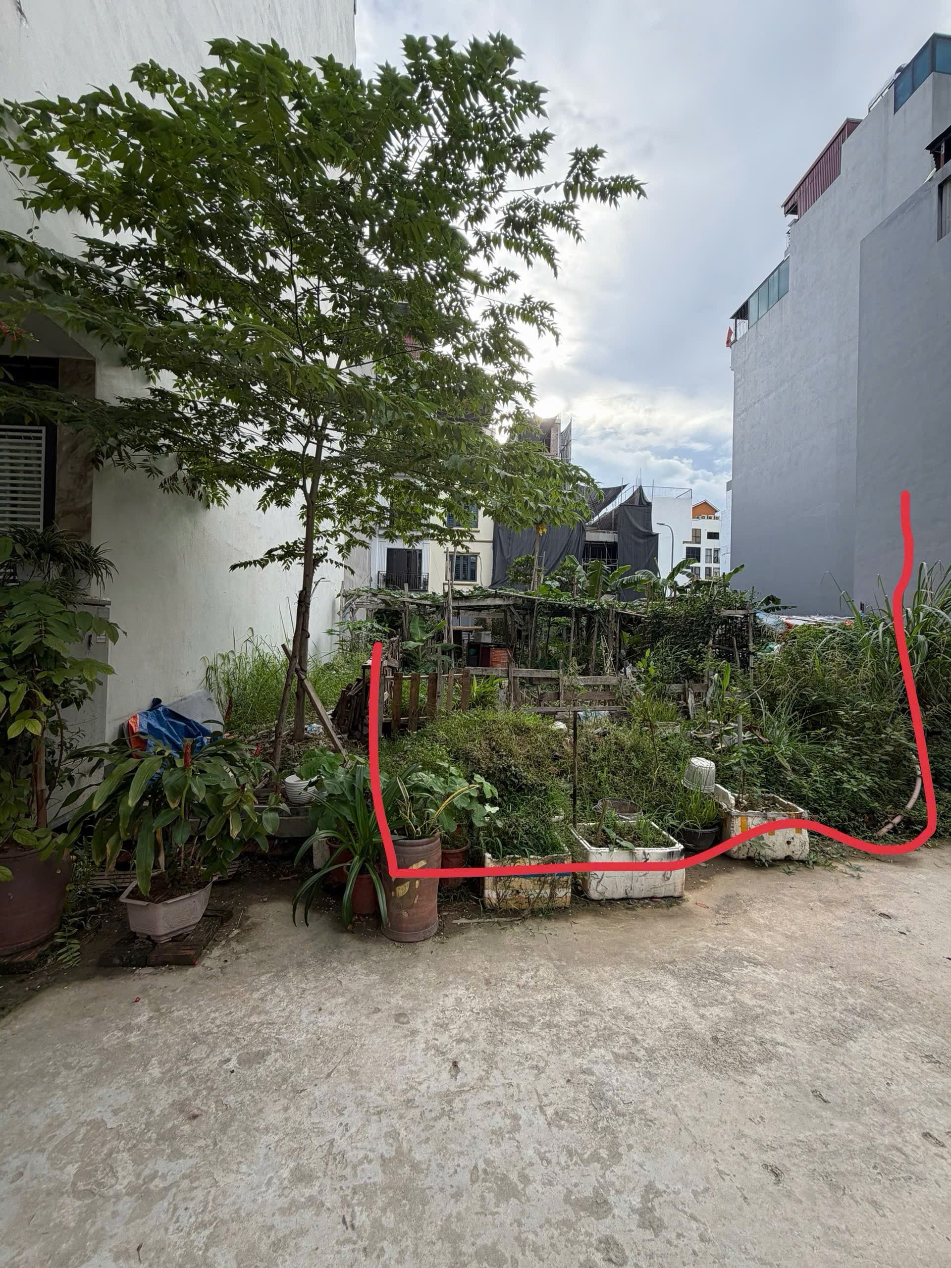 Nhà đất mặt phố, Long Biên, Hà Nội - 50m² giá 16.6 tỷ