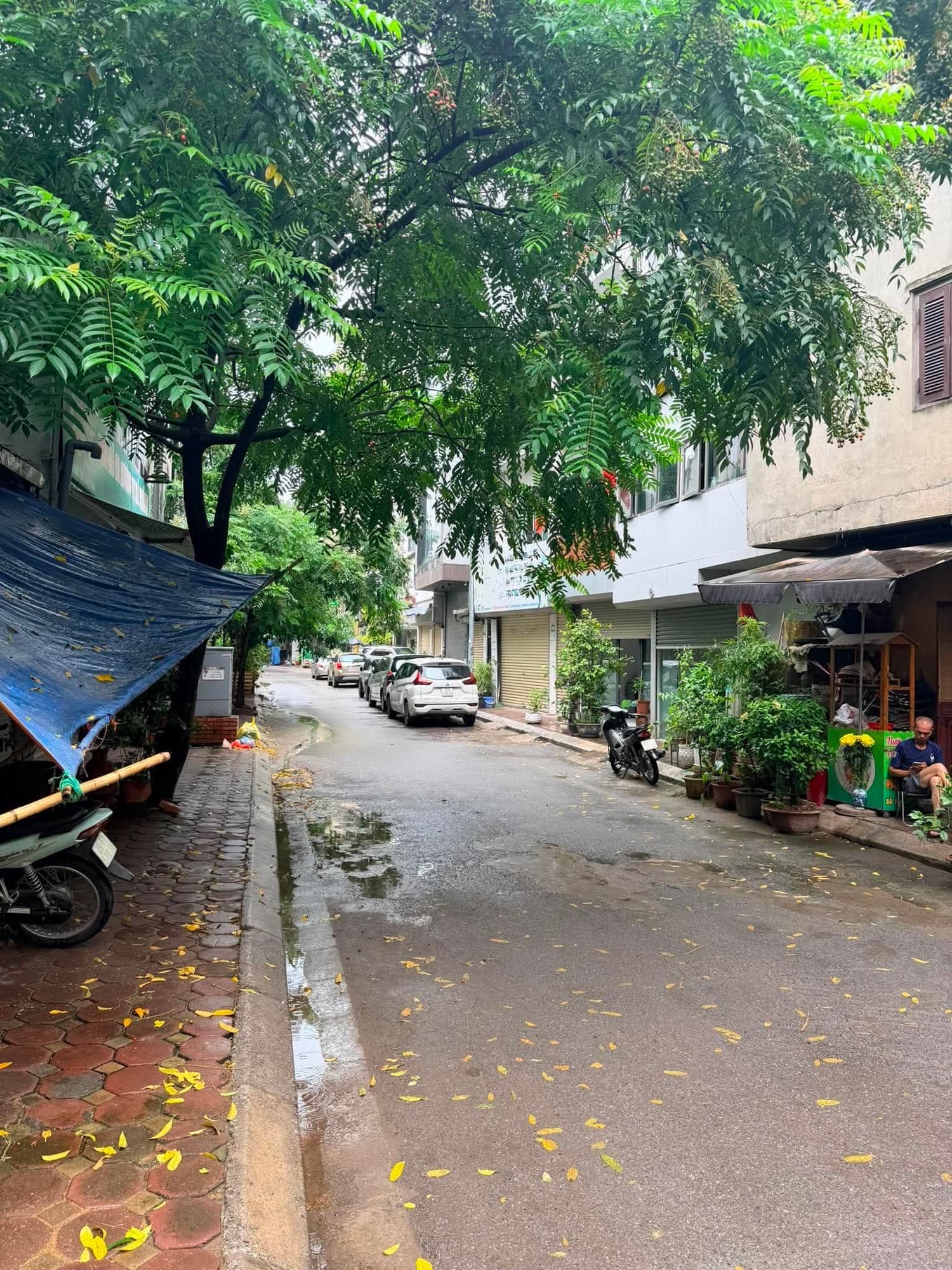 Nhà đất mặt phố, Tây Hồ, Hà Nội - 41m² giá 19 tỷ