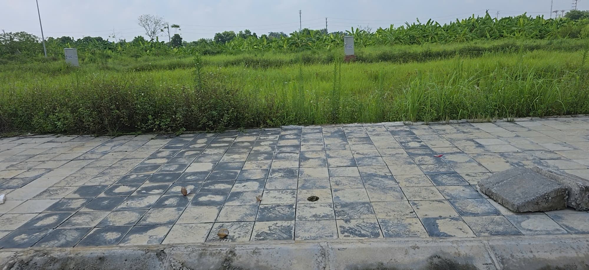 Nhà đất mặt phố Kim Động, Hưng Yên - 97.5m² giá 3.9 tỷ