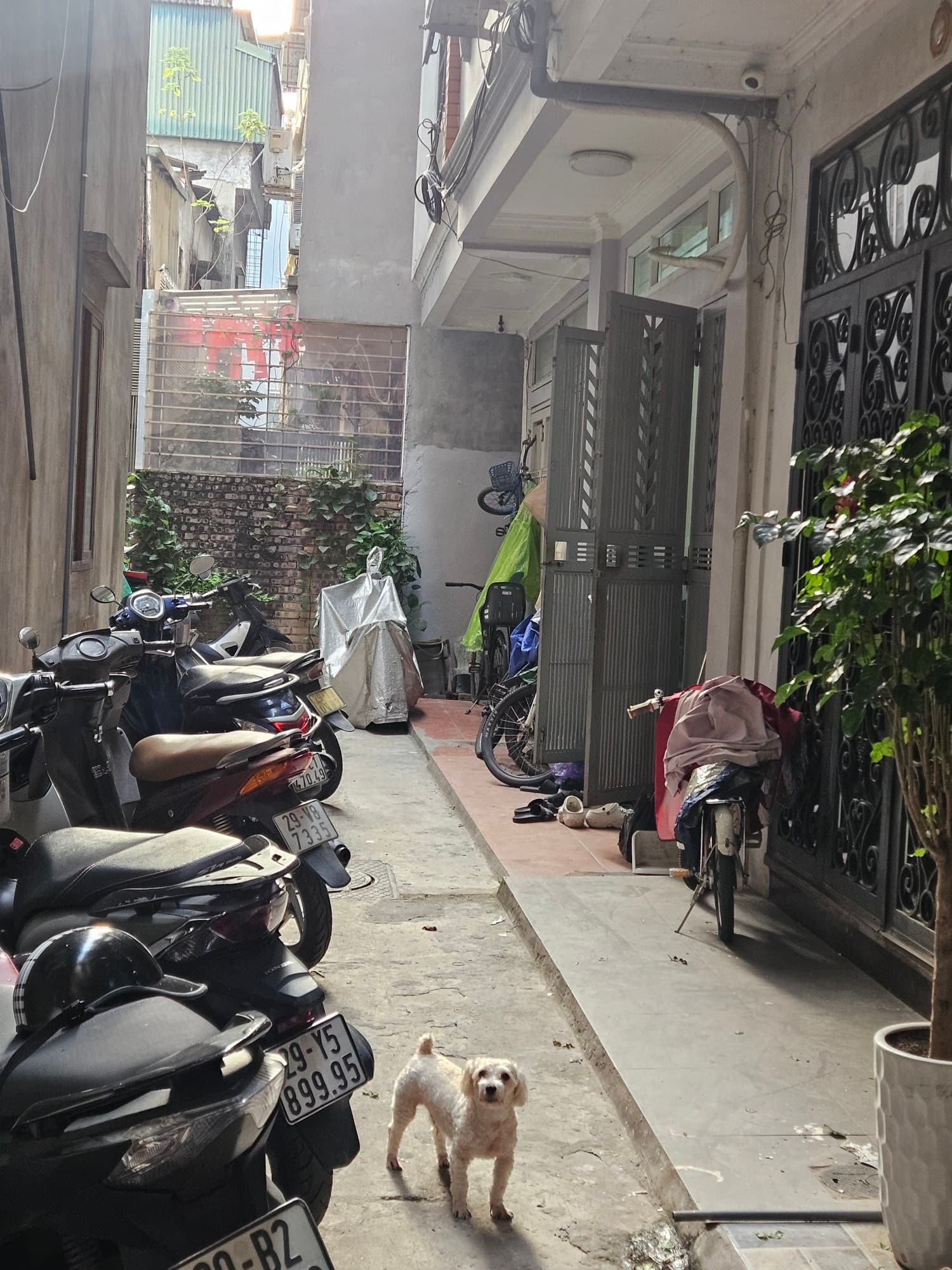 Nhà đất mặt phố, Hai Bà Trưng, Hà Nội - 33m² giá 6.9 tỷ