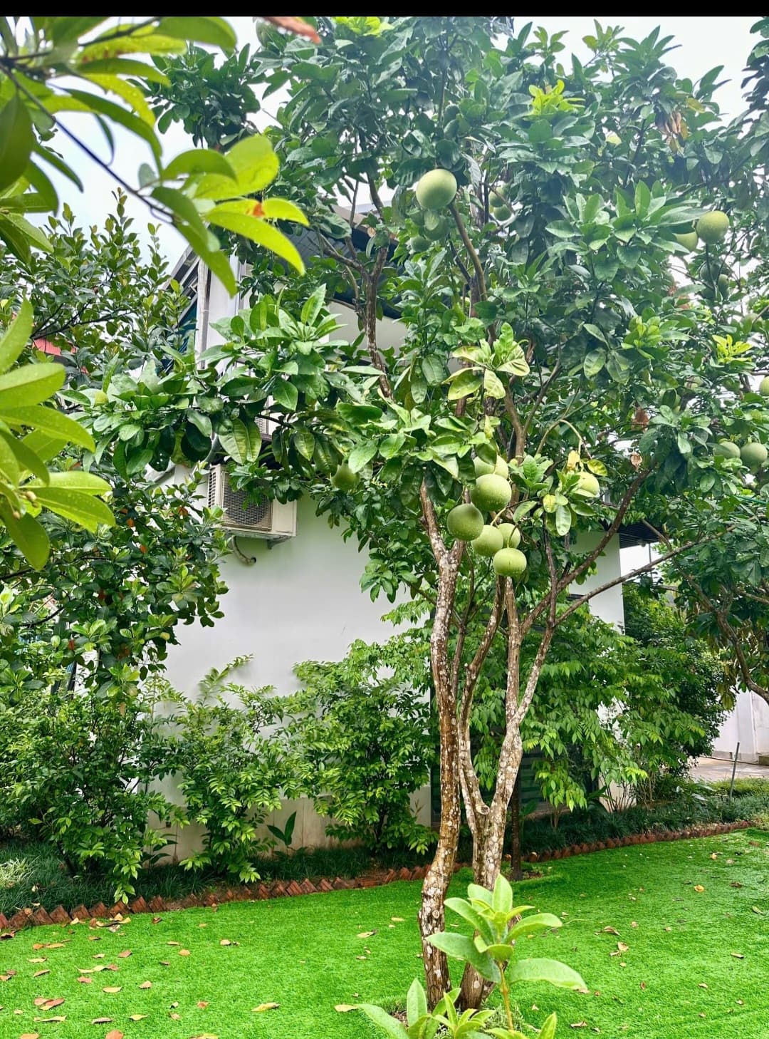 Nhà đất mặt phố, Thạch Thất, Hà Nội - 394m² giá 20.3 tỷ