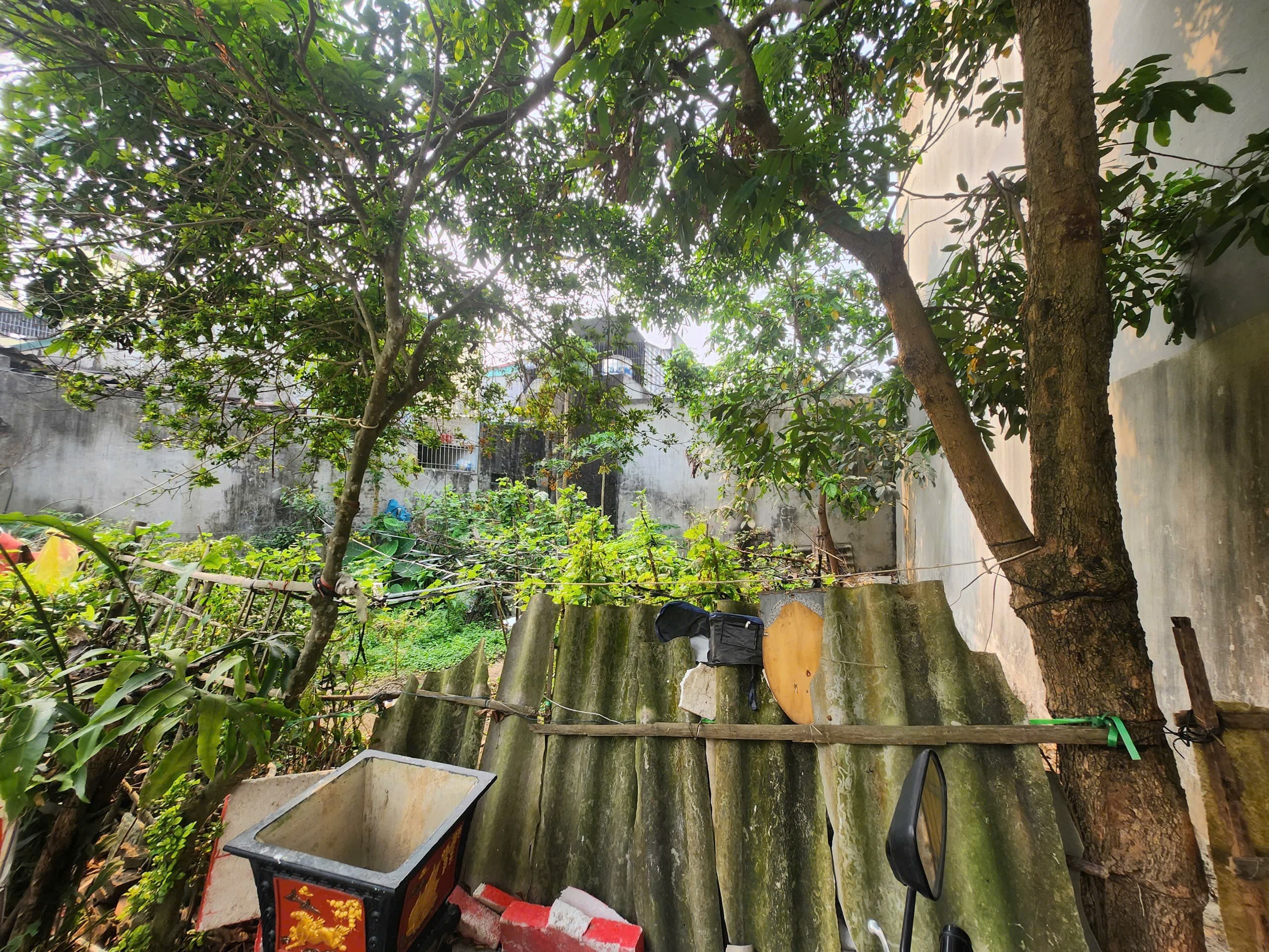 Nhà đất mặt phố, Thanh Hóa, Thanh Hóa - 45.5m² giá 2.9 tỷ