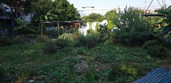 Nhà đất mặt phố, Thanh Xuân, Hà Nội - 1036m² giá 34.5 tỷ