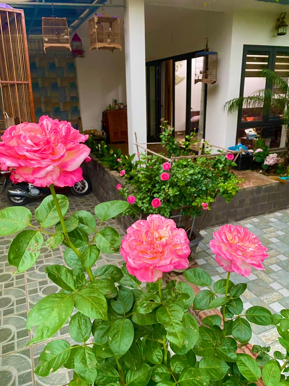 Nhà đất mặt phố, Phúc Yên, Vĩnh Phúc - 329m² giá 9 tỷ